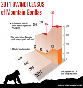 Gorilla Census Silverbacks 